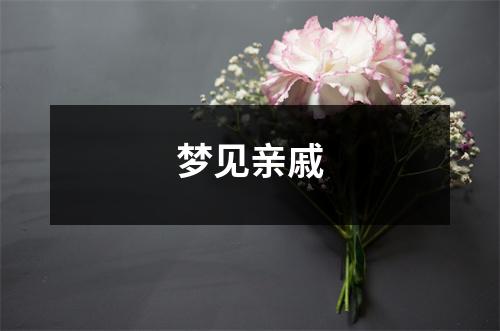<h3>梦见亲戚