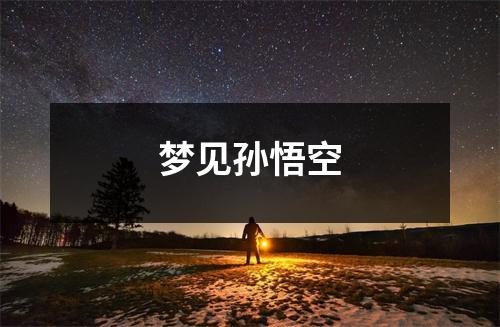 <h3>梦见孙悟空