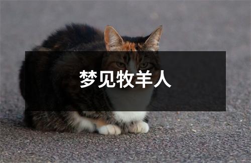 <h3>梦见牧羊人