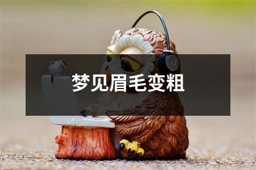 <h3>梦见眉毛变粗