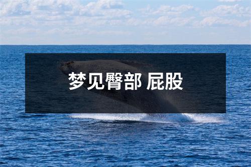 梦见臀部屁股
