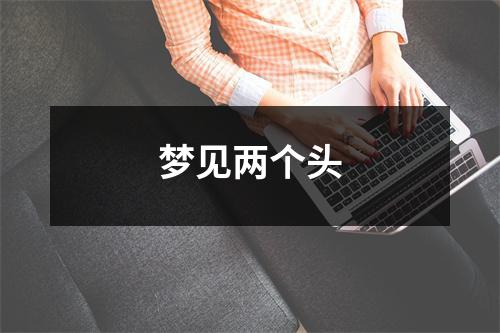 <h3>梦见两个头