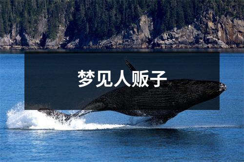 <h3>梦见人贩子