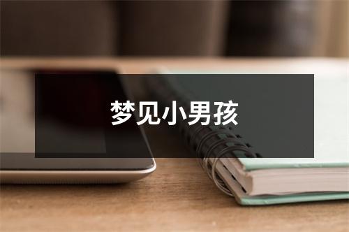 <h3>梦见小男孩