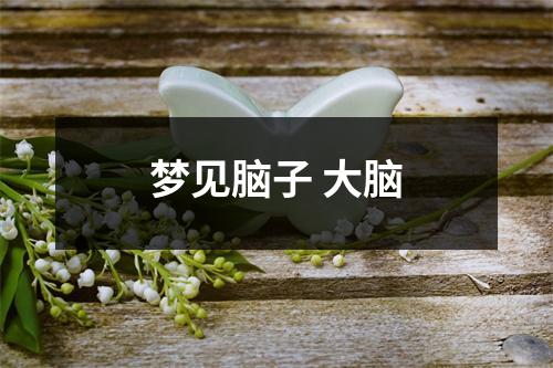 <h3>梦见脑子大脑