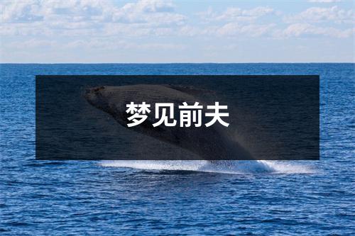 <h3>梦见前夫