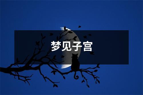 <h3>梦见子宫