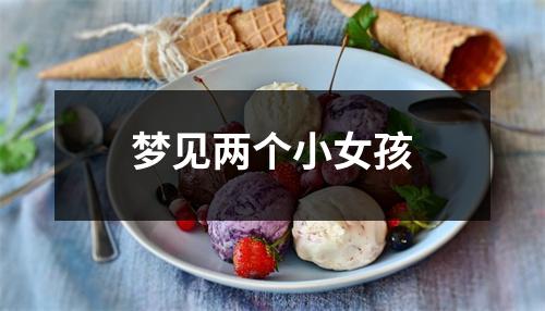 <h3>梦见两个小女孩