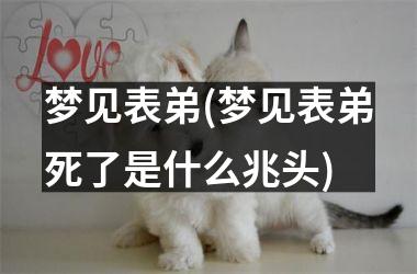 <h3>梦见表弟(梦见表弟死了是什么兆头)