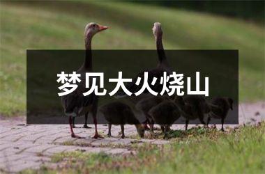 <h3>梦见大火烧山
