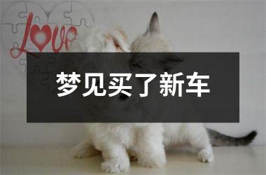 梦见买了新车