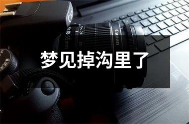 <h3>梦见掉沟里了