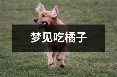 <h3>梦见吃橘子