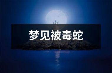 梦见被毒蛇