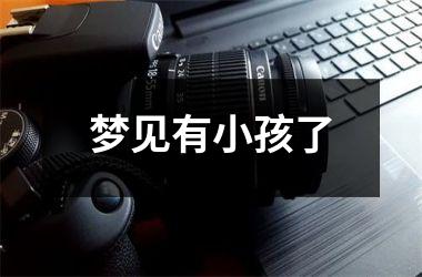 <h3>梦见有小孩了