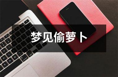 <h3>梦见偷萝卜