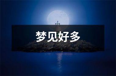 <h3>梦见好多