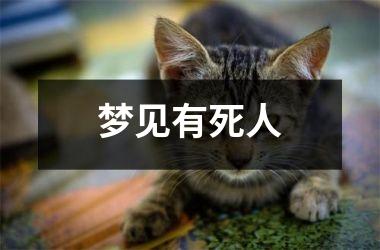 <h3>梦见有死人