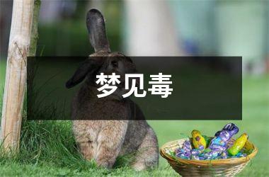 梦见毒