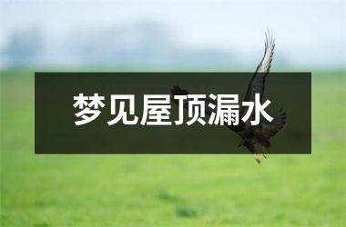 <h3>梦见屋顶漏水