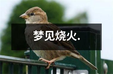 <h3>梦见烧火.