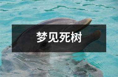 梦见死树
