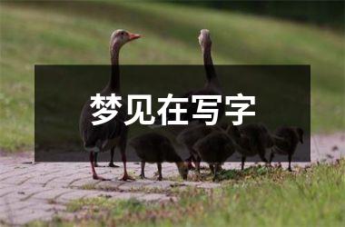 <h3>梦见在写字