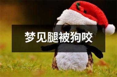 <h3>梦见腿被狗咬