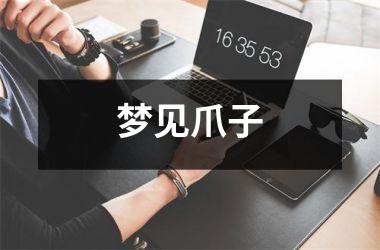 <h3>梦见爪子