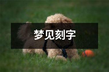 <h3>梦见刻字