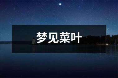 <h3>梦见菜叶