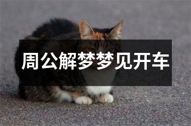 周公解梦梦见开车