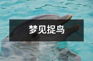 <h3>梦见捉鸟
