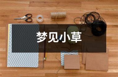 <h3>梦见小草