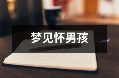 <h3>梦见怀男孩