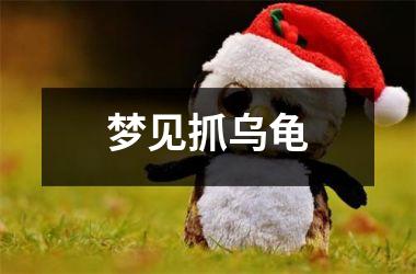 <h3>梦见抓乌龟