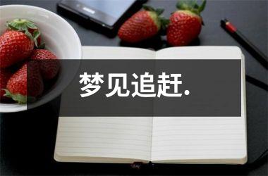 <h3>梦见追赶.