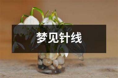 <h3>梦见针线
