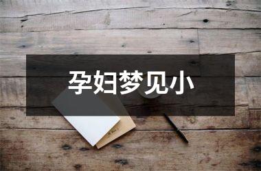 <h3>孕妇梦见小