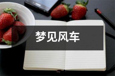 <h3>梦见风车