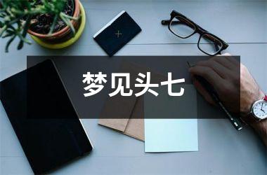 <h3>梦见头七