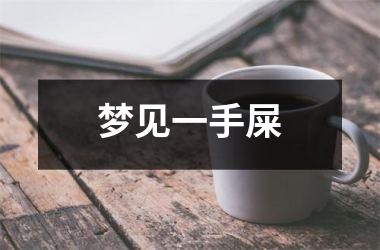 <h3>梦见一手屎