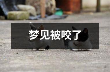 <h3>梦见被咬了
