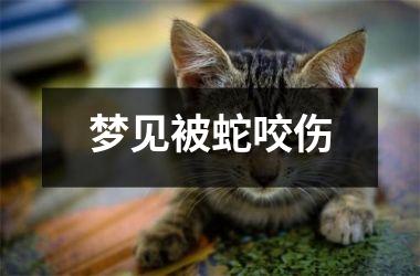 <h3>梦见被蛇咬伤