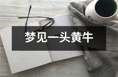 梦见一头黄牛