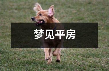 梦见平房
