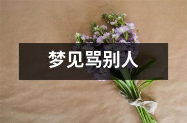 <h3>梦见骂别人