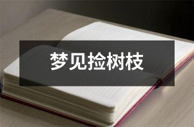 <h3>梦见捡树枝
