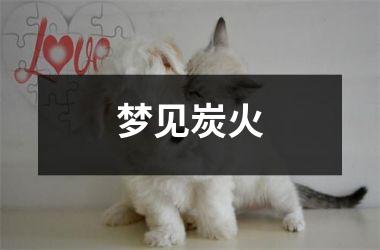<h3>梦见炭火