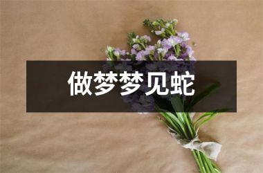 <h3>做梦梦见蛇